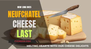 The Longevity of Neufchatel Cheese: How Long Can You Store It?