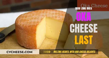 The Longevity of Oka Cheese: How Long Does it Last?