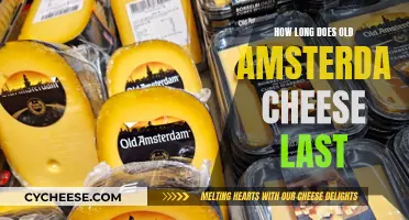 The Longevity of Old Amsterdam Cheese Explained