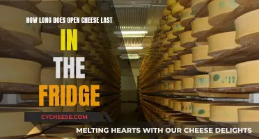 Cheese Storage: How Long Does Open Cheese Stay Fresh?