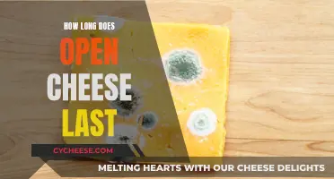 Cheese Storage: How Long Does Open Cheese Stay Fresh?