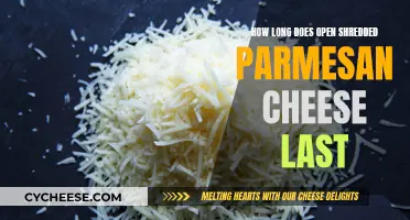 Shredded Parmesan Cheese: How Long Does It Stay Fresh?