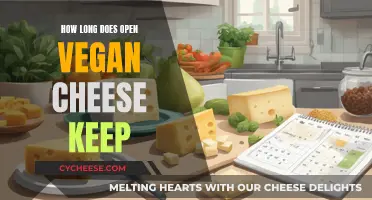 Vegan Cheese: How Long Does It Last in the Fridge?