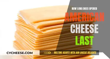 American Cheese: How Long Does It Last?