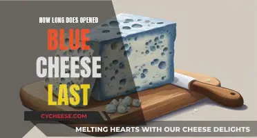 Blue Cheese: How Long Does It Last Once Opened?