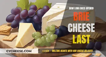 Brie Cheese: How Long Does It Last Once Opened?