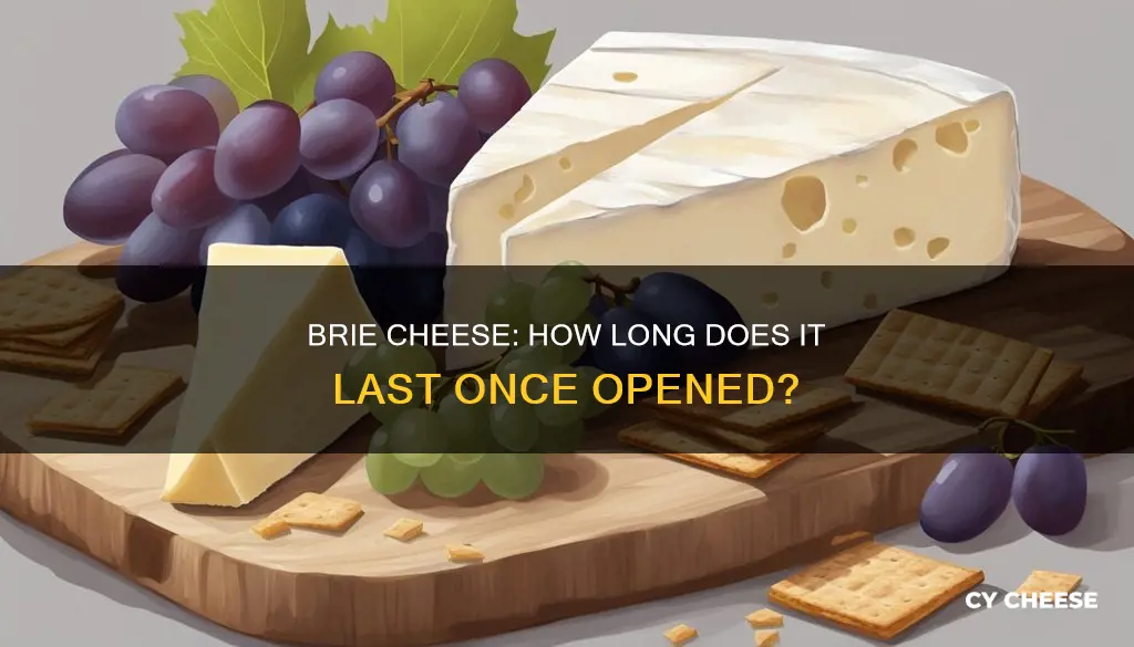 how long does opened brie cheese last