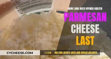 The Lifespan of Grated Parmesan Cheese After Opening