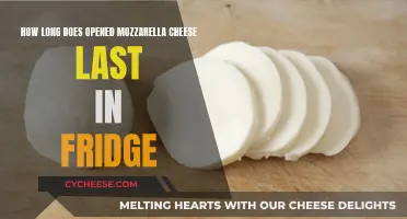 Mozzarella Cheese: How Long Does it Last?