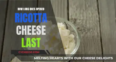 Ricotta Cheese: How Long Does It Last?