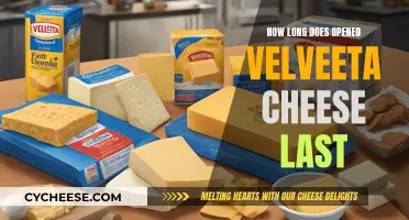 Velveeta Cheese: How Long Does It Really Last?