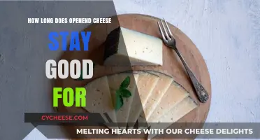 The Ultimate Guide to Knowing Cheese Expiry