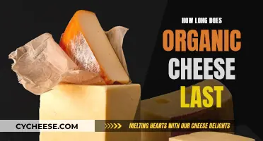 Organic Cheese: How Long Does It Stay Fresh?