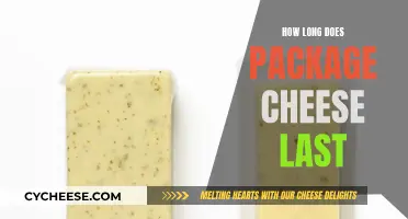 Cheese Longevity: How Long Does Packaged Cheese Last?