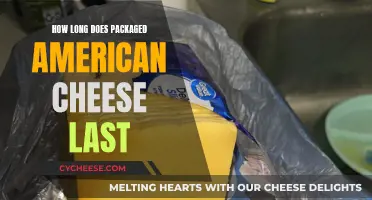 The Expiry Mystery: Packaged American Cheese Shelf Life