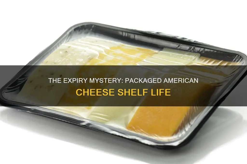 how long does packaged american cheese last