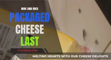 Cheese Longevity: Packaged Cheese's Expiry and Storage