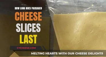 Cheese Slices: How Long Do They Stay Fresh?