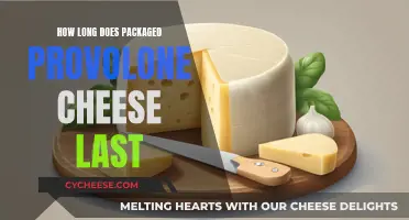 Provolone Cheese: How Long Does It Last?