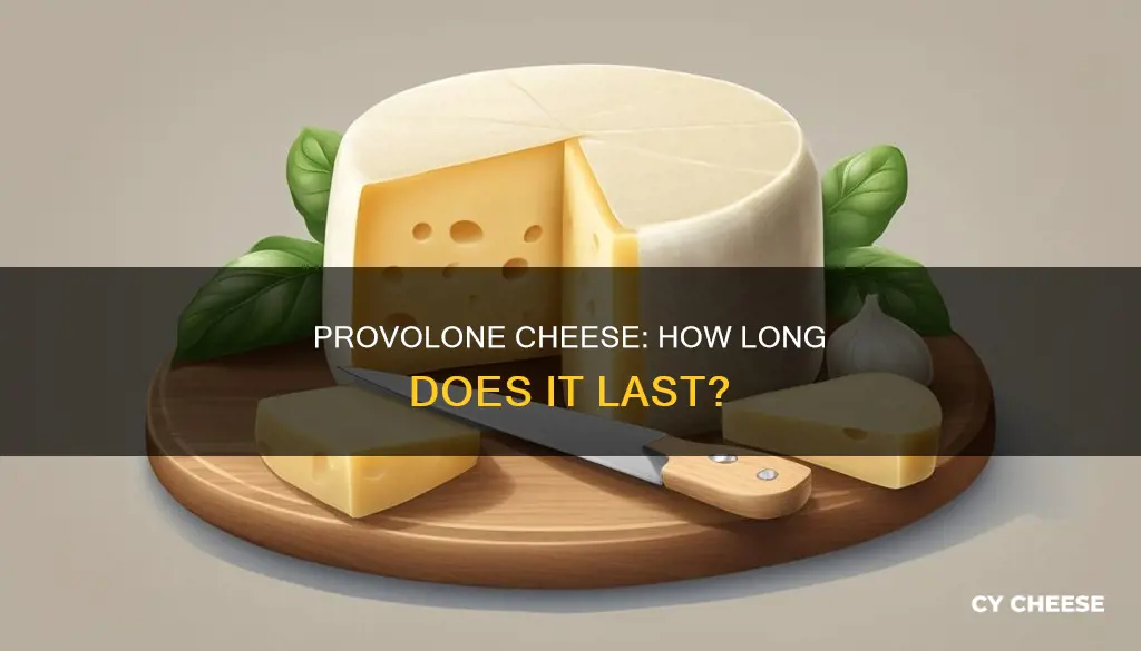 how long does packaged provolone cheese last