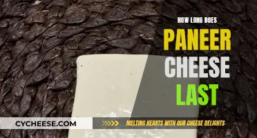 The Longevity of Paneer Cheese: How Long Does it Last?