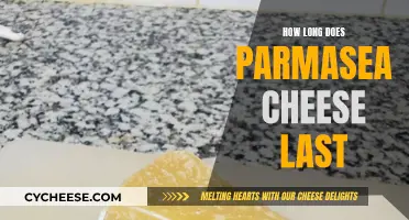 Parmesan Cheese: How Long Does It Really Last?