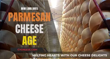 The Aging Art of Parmesan Cheese Perfection