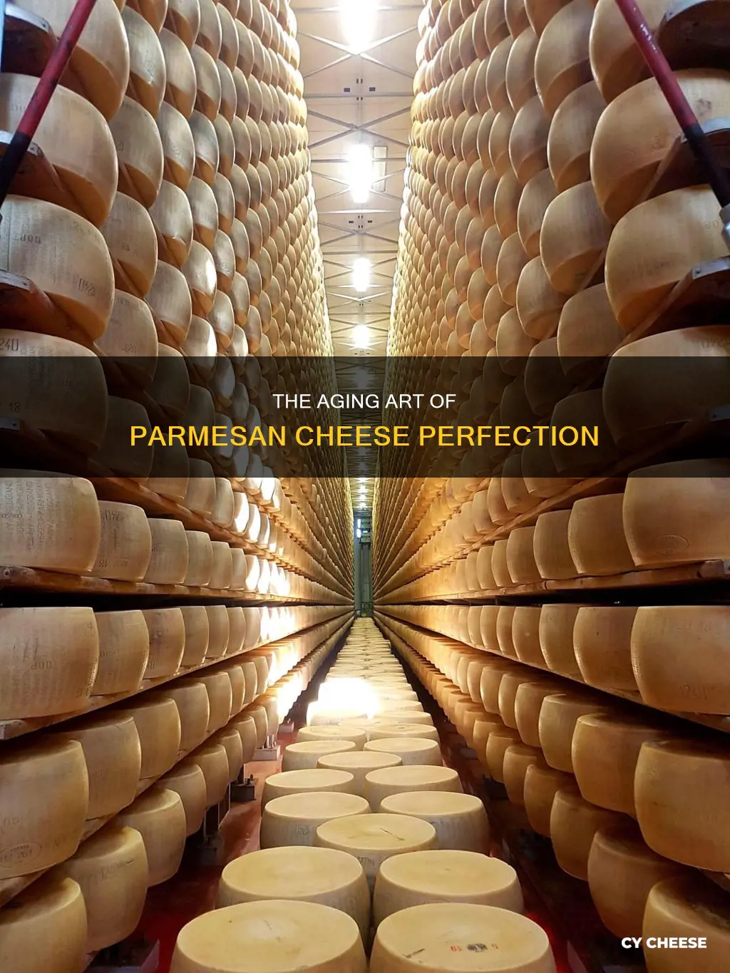 how long does parmesan cheese age