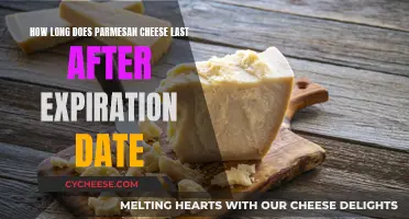 The Longevity of Parmesan Cheese: Expiration and Beyond