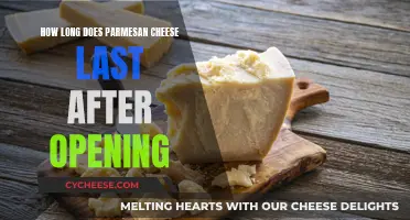 Extending Parmesan Cheese Lifespan: Tips and Tricks