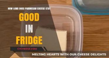 Parmesan Cheese: How Long Does it Last?