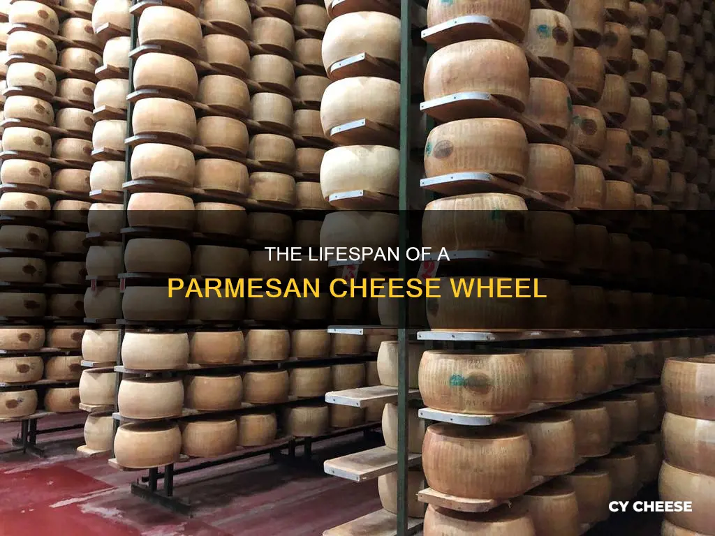 how long does parmesan cheese wheel last