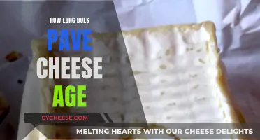 The Aging of Pave Cheese: How Long Does it Take?