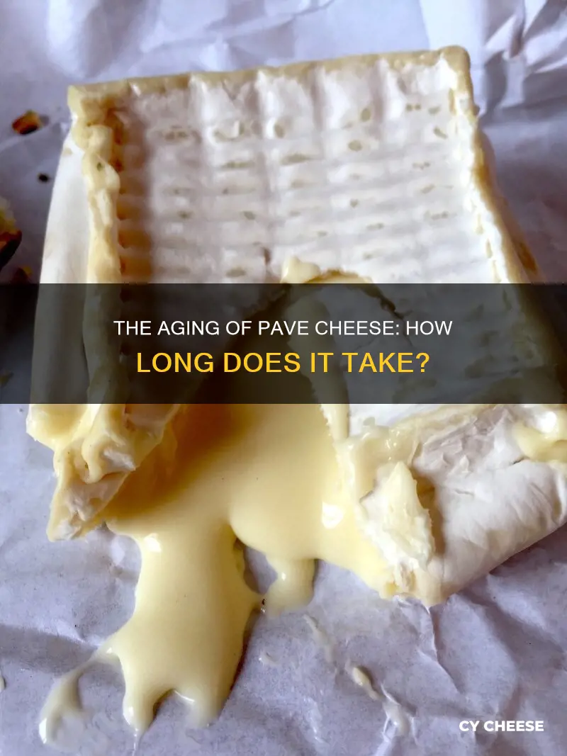 how long does pave cheese age