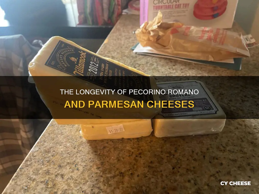 how long does pecorino romano and parmasean cheese last