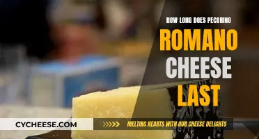 Pecorino Romano Cheese: How Long Does It Last?