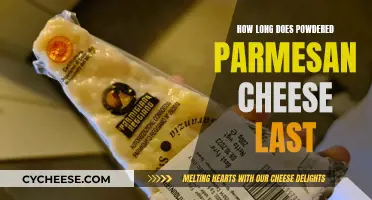 The Longevity of Powdered Parmesan Cheese: How Long Does it Last?