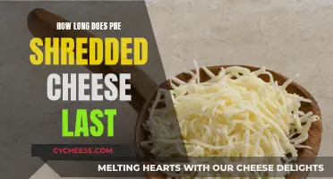 Shredded Cheese: How Long Does It Last?