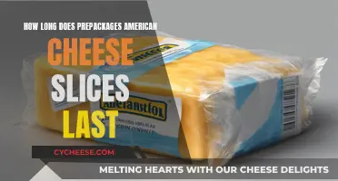 American Cheese Slices: How Long Do They Stay Fresh?