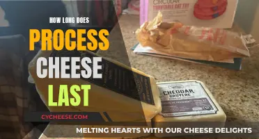 The Ultimate Guide to Process Cheese Shelf Life