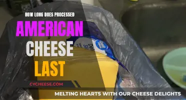 The Expiry Mystery: American Cheese's Longevity Explored