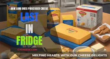 Cheese Storage: How Long Does Processed Cheese Last?