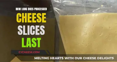 Cheese Slice Lifespan: How Long Does It Last?