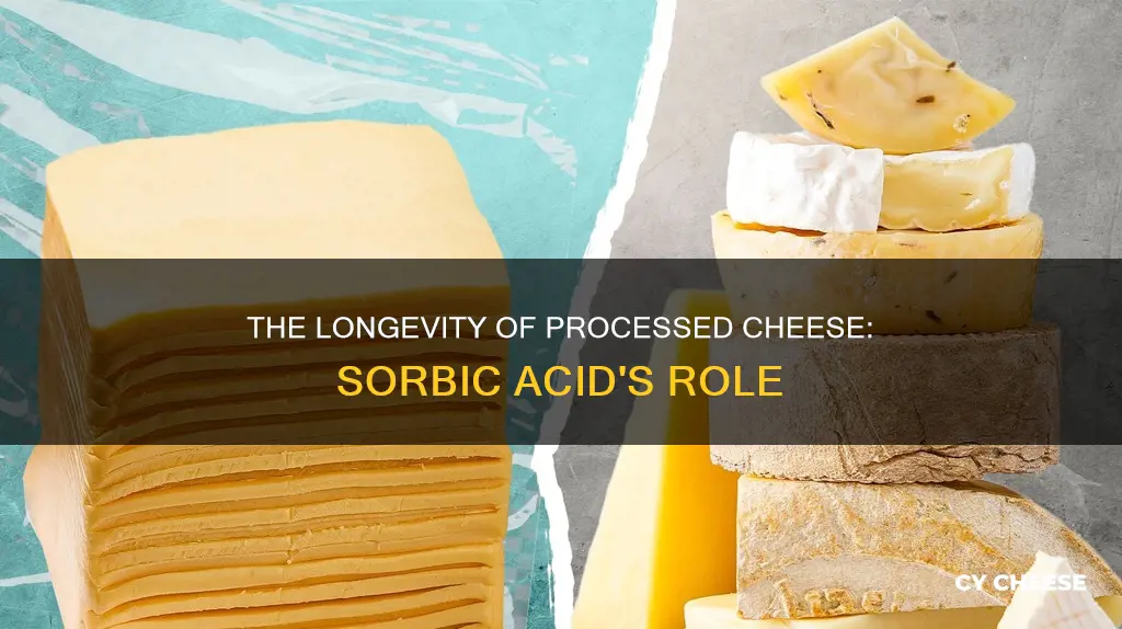 how long does processed cheese sorbic acid last