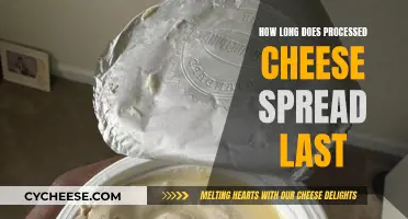 Cheese Spread: How Long Does It Stay Fresh?