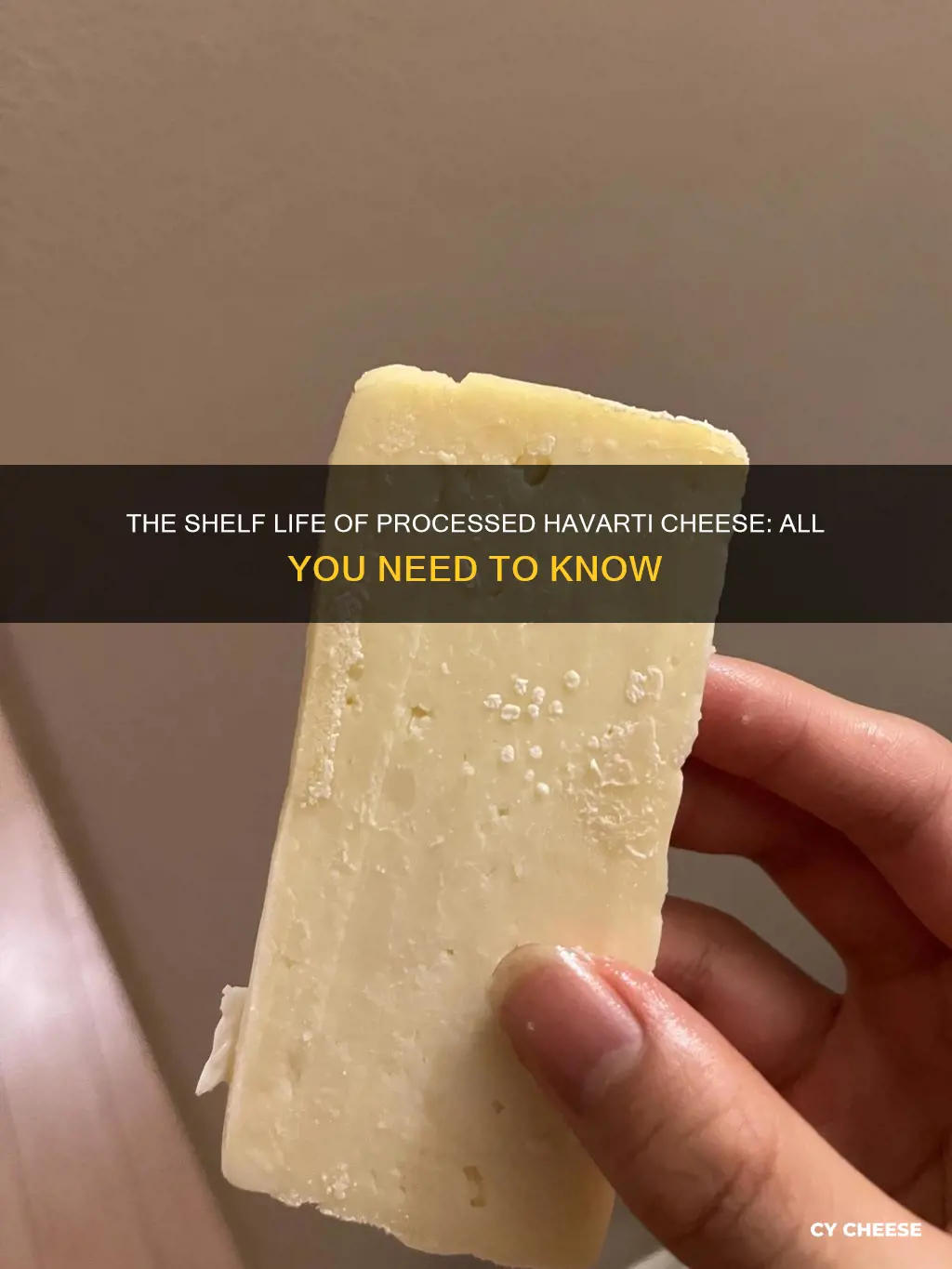 how long does processed havarti cheese last