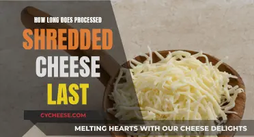 The Longevity of Shredded Cheese: How Long Does it Last?