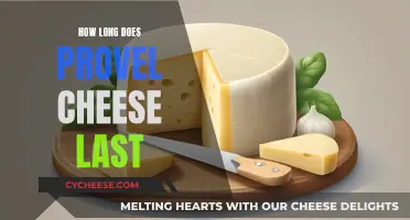 Provel Cheese: How Long Does It Stay Fresh?