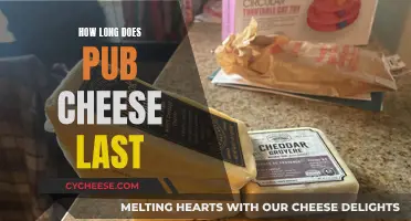 The Ultimate Guide to Knowing Pub Cheese's Lifespan