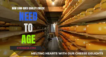 Aging Cheese: How Long Does Quality Need?